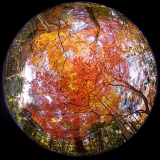 「無題」のサムネイル画像