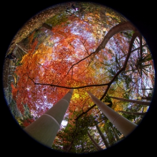 「無題」のサムネイル画像