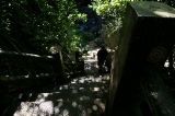 「グロットの階段途中から下を眺める」のサムネイル画像