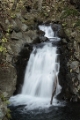 「愛染の滝」のサムネイル画像