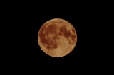 「満月」のサムネイル画像