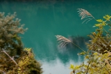 「毘沙門沼」のサムネイル画像