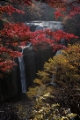 「袋田の滝」のサムネイル画像