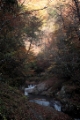 「三重の滝」のサムネイル画像