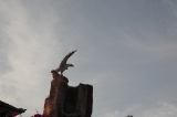 「ワシの像」のサムネイル画像