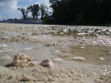 「満ち潮」のサムネイル画像