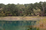 「弁天沼」のサムネイル画像