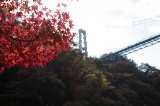 「竜神大吊橋」のサムネイル画像