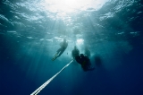 「エントリする体験ダイバー」のサムネイル画像