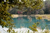 「柳沼」のサムネイル画像