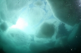 「流氷」のサムネイル画像
