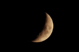 「夕月(月齢:5)」のサムネイル画像