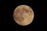 「中秋の名月」のサムネイル画像