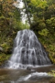 「行者の滝」のサムネイル画像