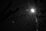 「舞い降りる雪」のサムネイル画像