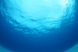「水面」のサムネイル画像