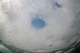 「のぞき穴」のサムネイル画像