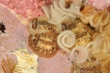 「トゲウミウシ」のサムネイル画像