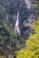 「流星の滝」のサムネイル画像