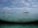「シパダン島に停泊しているボート」のサムネイル画像
