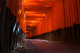 「朱の回廊」のサムネイル画像