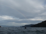 「虹」のサムネイル画像