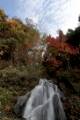 「長尾の滝」のサムネイル画像