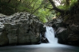 「カニ滝」のサムネイル画像