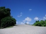 「明日への道」のサムネイル画像