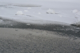 「凍てつく網走湖」のサムネイル画像