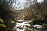 「吐龍の滝下流」のサムネイル画像