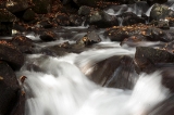 「名無しの滝」のサムネイル画像