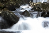 「名無しの滝」のサムネイル画像