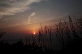 「ススキと夕日」のサムネイル画像