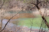 「みどろ沼」のサムネイル画像
