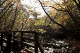 「胴切りの滝前」のサムネイル画像