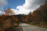 「秋の山道」のサムネイル画像