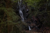 「玉簾の滝」のサムネイル画像