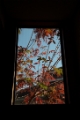 「秋深まる」のサムネイル画像