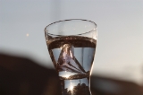 「グラス」のサムネイル画像