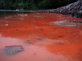「血の池地獄」のサムネイル画像