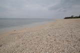 「砂浜」のサムネイル画像